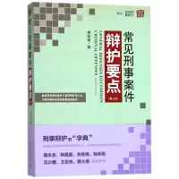 音像常见刑事案件辩护要点(第3版)娄秋琴