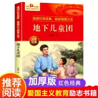 音像地下儿童团胡树国