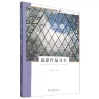 音像摄影作品分析(新版北京电影学院摄影专业系列教材)唐东平 著