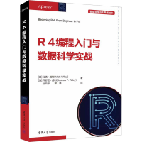 音像R 4编程入门与数据科学实战(美)马塔·威利,(澳)乔舒亚·威利