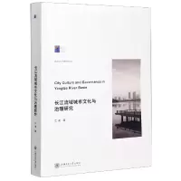音像长江流域城市文化与治理研究/城市文化传播研究丛书江凌