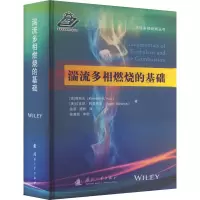 音像湍流多相燃烧的基础(美)郭冠云,(美)拉吉尼·阿查里亚