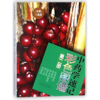 音像学速记彩色图谱(2)王满恩