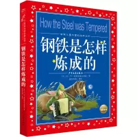 音像钢铁是怎样炼成的(苏)尼·阿·奥斯特洛夫斯基