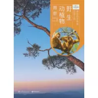 音像海南热带雨林公园野生动植物图册(精)宋希强//张哲//谭珂