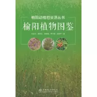 音像榆植图鉴(精)/榆动植资源丛书刘忠华//柳培华//徐瑞瑞