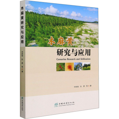 音像木麻黄研究与应用仲崇禄 等