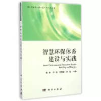 音像智慧环保体系建设与实践/数字环保系列丛书姚新...[等]主编