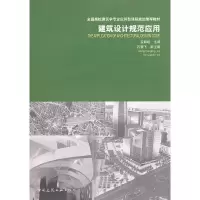 音像建筑设计规范应用孟聪龄 主编
