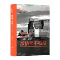 音像激情那不勒斯张志雄