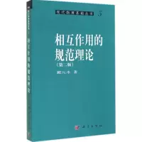 音像相互作用的规范理论戴元本 著