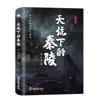 音像天坑下的秦陵:黑衣帝国韩学龙 著
