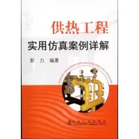 音像供热工程实用案例详解/彭力彭力