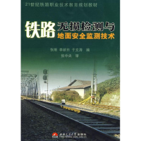 音像铁路无损检测与地面安全监测技术张维,李新东,于文涛 编