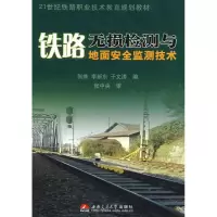 音像铁路无损检测与地面安全监测技术张维,李新东,于文涛 编
