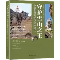 音像守护雪山:中国雪豹调查与保护现状肖凌云