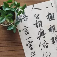 音像王羲之兰亭序上海书画出版社