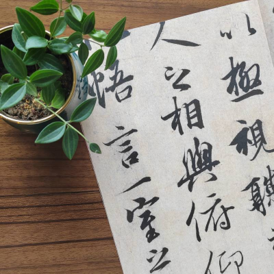 音像王羲之兰亭序上海书画出版社