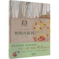 音像蚂蚁的森林薛涛