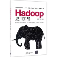 音像Hadoop应用实战谭磊、范磊