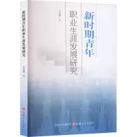 音像新时期青年职业生涯发展研究袁高鹏