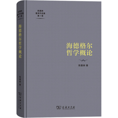 音像海德格尔哲学概论陈嘉映