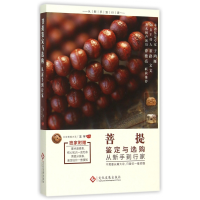 音像菩提鉴定与选购从新手到行家王宇