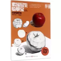音像素描写生·临摹宝丁楠 编著;李家友 丛书主编