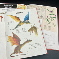 音像如何捕获一条龙 猎龙人秘密手册(法)帕特里克·杰泽盖尔