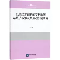 音像低碳技术创新的专利政策与经济政策及其互动机制研究罗敏 著