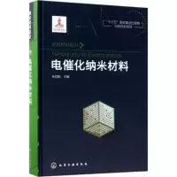 音像电催化纳米材料孙世刚 主编