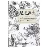 音像绝色画意蓝博艺站 编著