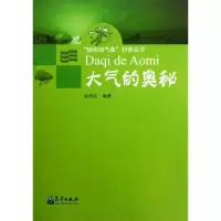 音像大气的奥秘金传达