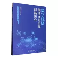 音像数字经济推动文化治理创新研究师晓娟,孔少华著