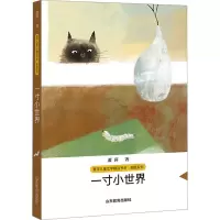 音像一寸小世界萧萍