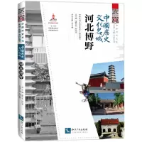 音像中国历史文化名城·河北博野潘鲁生 邱运华