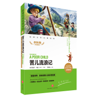 音像苦儿流浪记(名师精评版)/经典文学名著金库闫仲渝