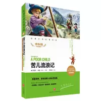 音像苦儿流浪记(名师精评版)/经典文学名著金库闫仲渝