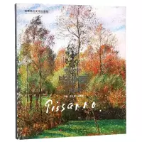 音像拥抱艺术(沙罗作品赏析)成光虎 吴春艳