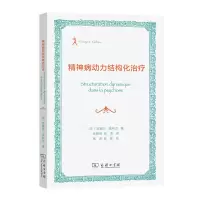 音像精神病动力结构化治疗[法]吉塞拉·潘科夫