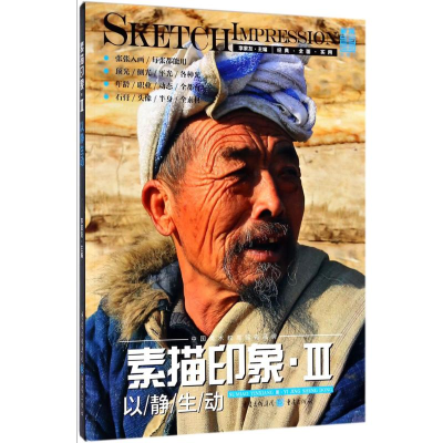 音像素描印象李家友 主编