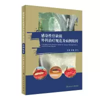 音像感染骨缺损外科治疗规范及病例精粹谢肇,罗飞