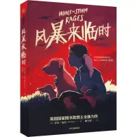 音像风暴来临时(英)菲尔·厄尔