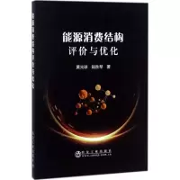 音像能源消费结构评价与优化黄光球,陆秋琴 著