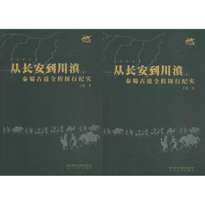 音像从长安到罗马王蓬 著