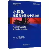 音像小体在膝关节置换中的应用