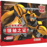 音像护卫行动迈克斯 编