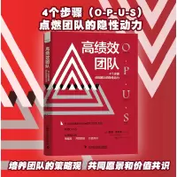 音像高绩效团队:4个步骤点燃团队的隐动力(英)祖德·詹尼森