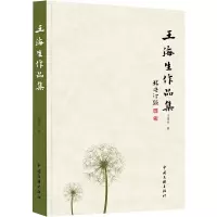 音像王海生作品集王海生