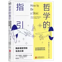 音像哲学的指引(意)马西莫·匹格里奇
